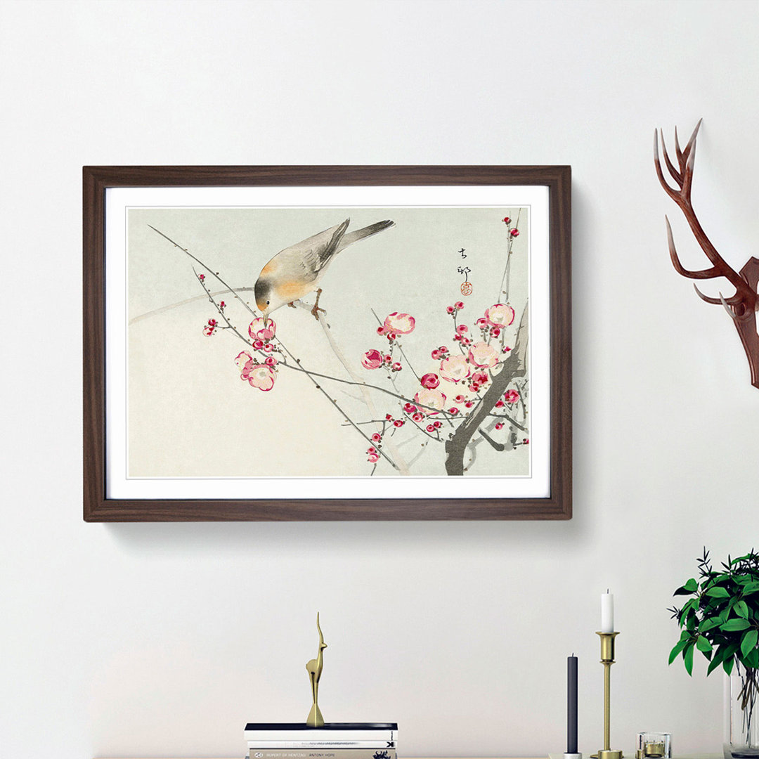 Songbird on a Blossom Branch by Ohara Koson - Framed Print