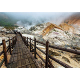 Jigokudani Hell Valley in Japan Wall Mural