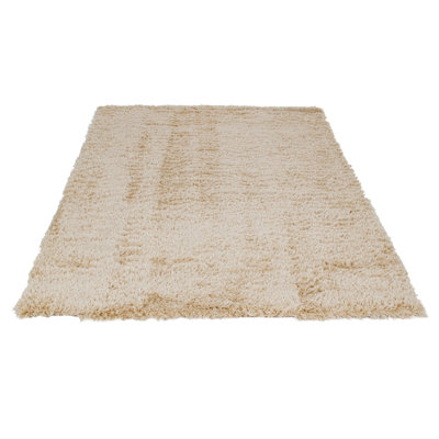 Decoste Hand Woven Area Rug