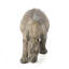 Statue de jardin sud-africain rhinocéros