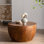 Table basse cylindrique de 31,5 pouces de style tambour rétro, bois massif de couleur brune et panneau de fibres à densité moyenne, armoire de rangement pour le salon