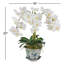 ORCHID IN ACACHE POT