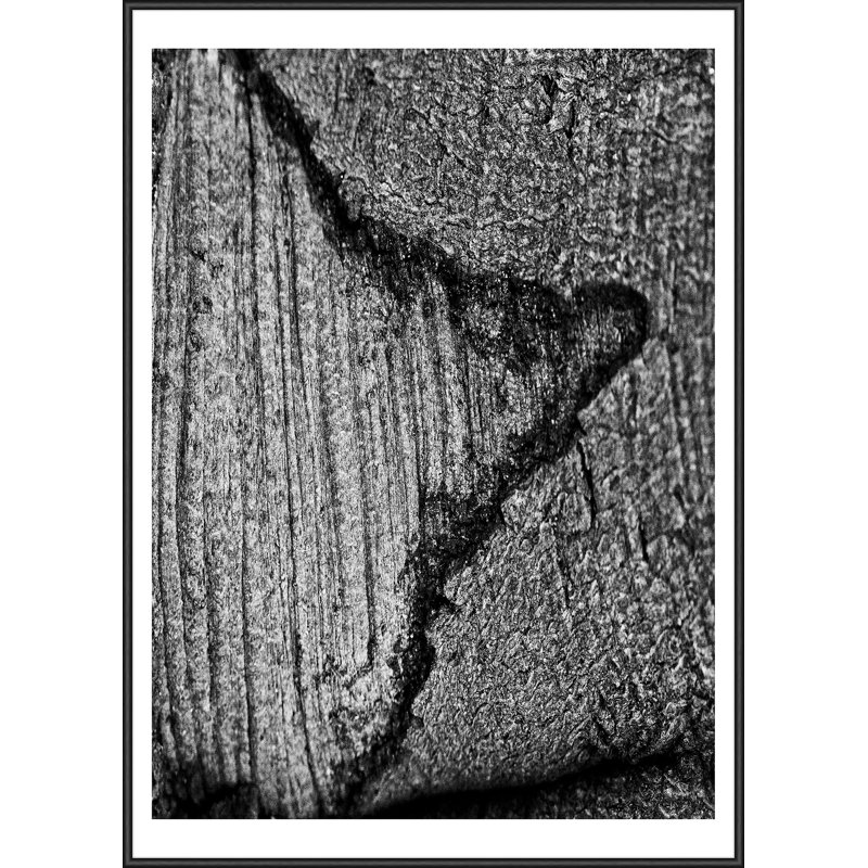 Single Picture Frame Print