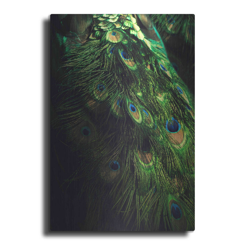 Peacock Tail par Incado - photographie non encadrée sur métal, H 24 po x l 16 po x P 0,13 po