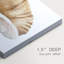 Seashell I  -Custom Wrapped Gallery Canvas - 3 Pieces-1541830554