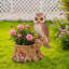 Figurine en résine pour décoration intérieure et extérieure Whimsical Owl Garden