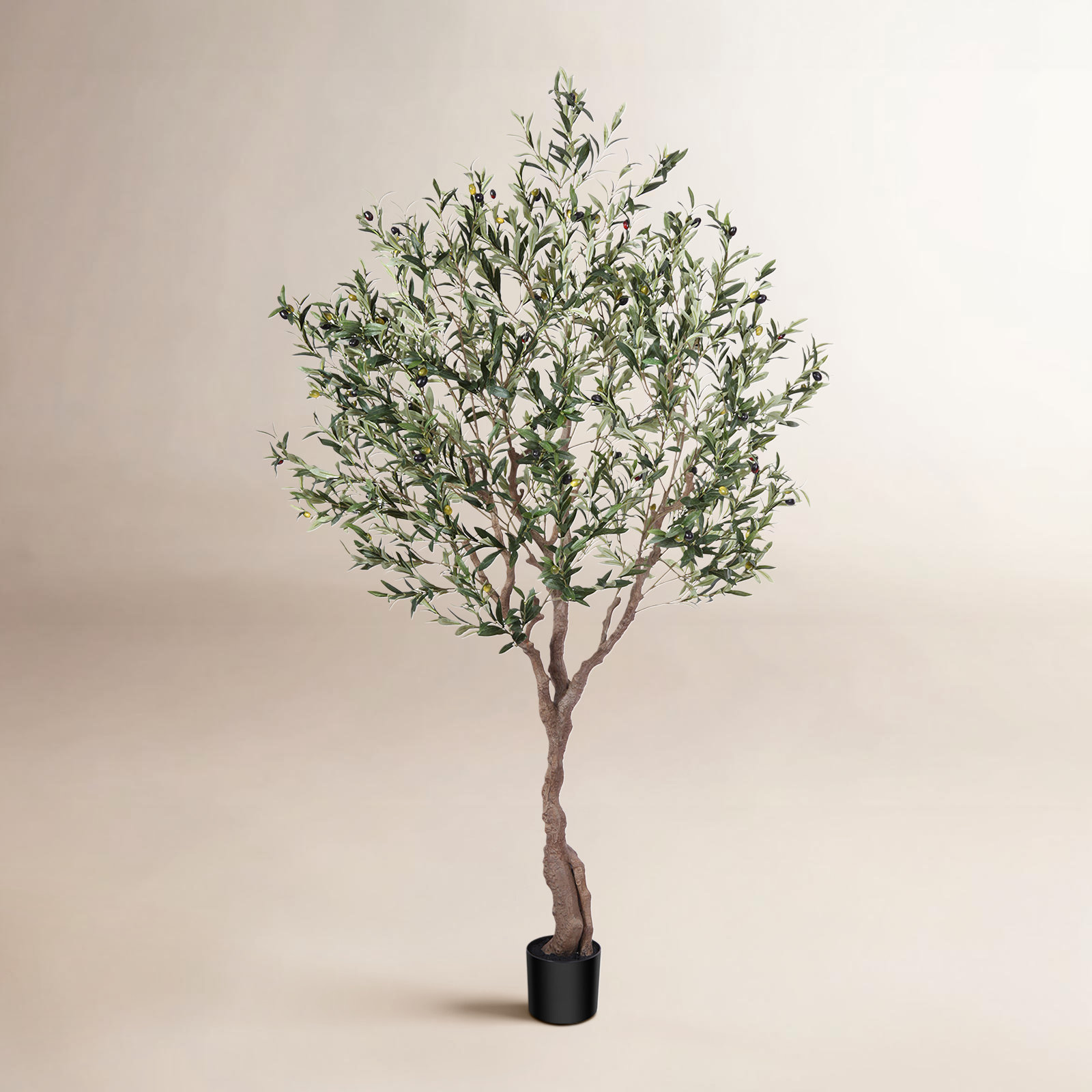 Adcock 84" Olive Tree in Pot