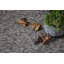 Ensemble de tapis intérieur / extérieur en nylon touffeté à la machine Loralea-751908163