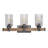 3 - Light Dimmable Vanity Light