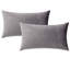 Ensemble de 2 housses de coussin en velours-249040408-200190356