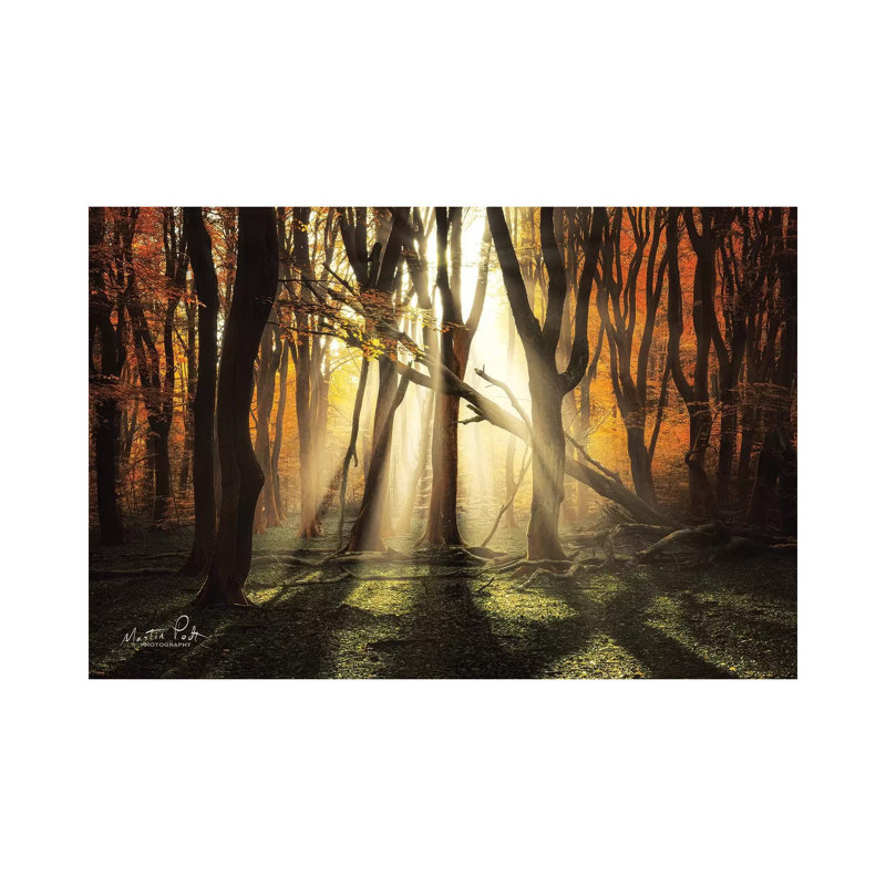 The Awakening by Martin Podt - Wrapped Canvas Print, 66.04 cm H x 45.72 cm W x 3.175 cm D