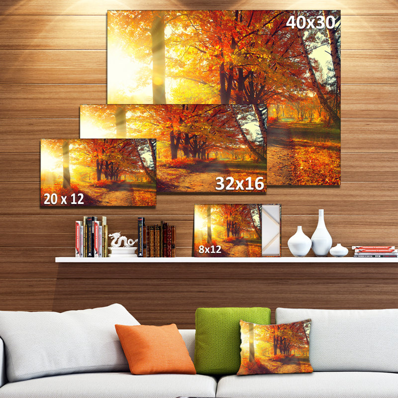 «Autumnal Trees, Sunrays», reproduction de photo sur toile tendue, H 8 po x l 12 po x P 1 po, Toile tendue