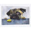 Carlin et biscuit, reproduction sur toile-32498373-72131492-72131490