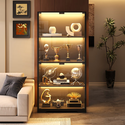 Display Cabinet