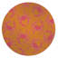 Tapis d'extérieur décoratif Crabby-757146452-757146477