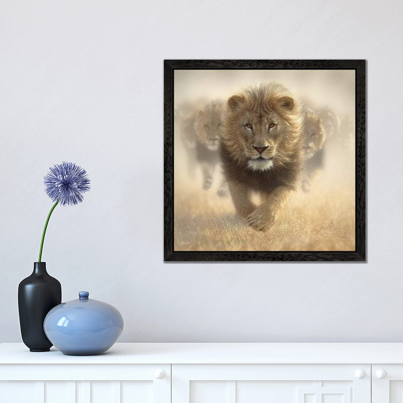 Eat My Dust - Lion, Square by Collin Bogle - Floater Frame Print on Canvas, Black, 93.98 cm H x 93.98 cm W
