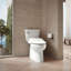 C3® Toilet Seat Bidet Elongated Bidet Seat-325369575