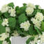 Outdoor UV Hydrangeas Arranged in Fiberstone Pot-215098895
