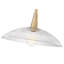 Luminaire suspendu