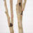 Autumn Birch Artificial Fall Tree-1116438662