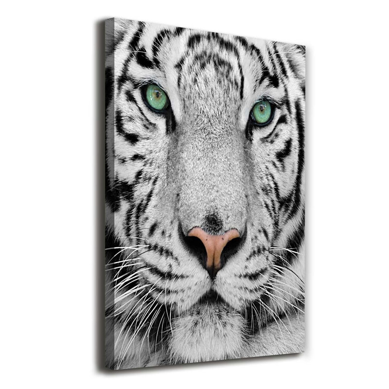 White Tiger - Wrapped Canvas Print