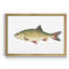«Small Antique Fish II», reproduction de photo encadrée-1787231011-1787231012