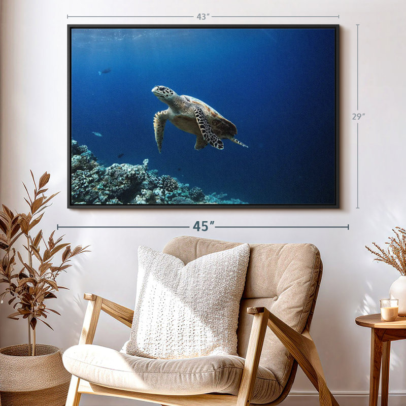 Turtle Adventure Canvas Print