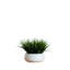Herbe à feuillage artificiel 9 po dans un vase décoratif-654739738