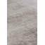 Koda Floral Area Rug in Beige-25181171