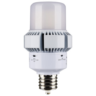 45 Watt White LED Bulb