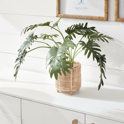 26.5'' Faux Fern Plant