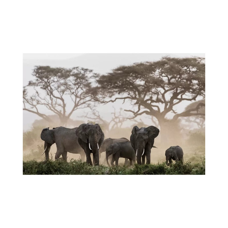 Africa, Kenya, Amboseli National Park. Elephants And Umbrella Thorn Acacia Trees. by Jaynes Gallery - Wrapped Canvas Print