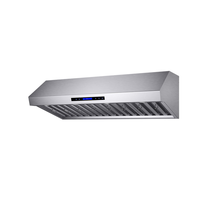 Filtres à chicane et télécommande robustes en acier inoxydable 48 po Forno Palazzo