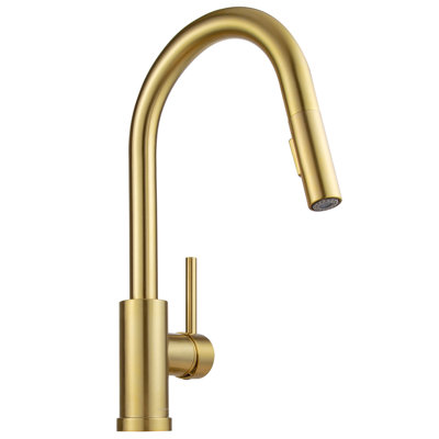 Pull Down Single Handle Kitchen Faucet with Accessories