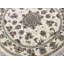 Oriental Area Rug