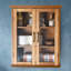 Yarissa Two-Door Removable Wall Storage Cabinet with Glass Panels & Adjustable Shelves