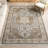Cady SpinClean Machine Washable Transitional Area Rug-1487736052
