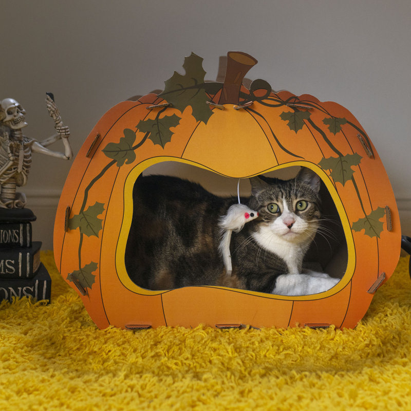 Bobbie-Joe 18'' H Cat Tree