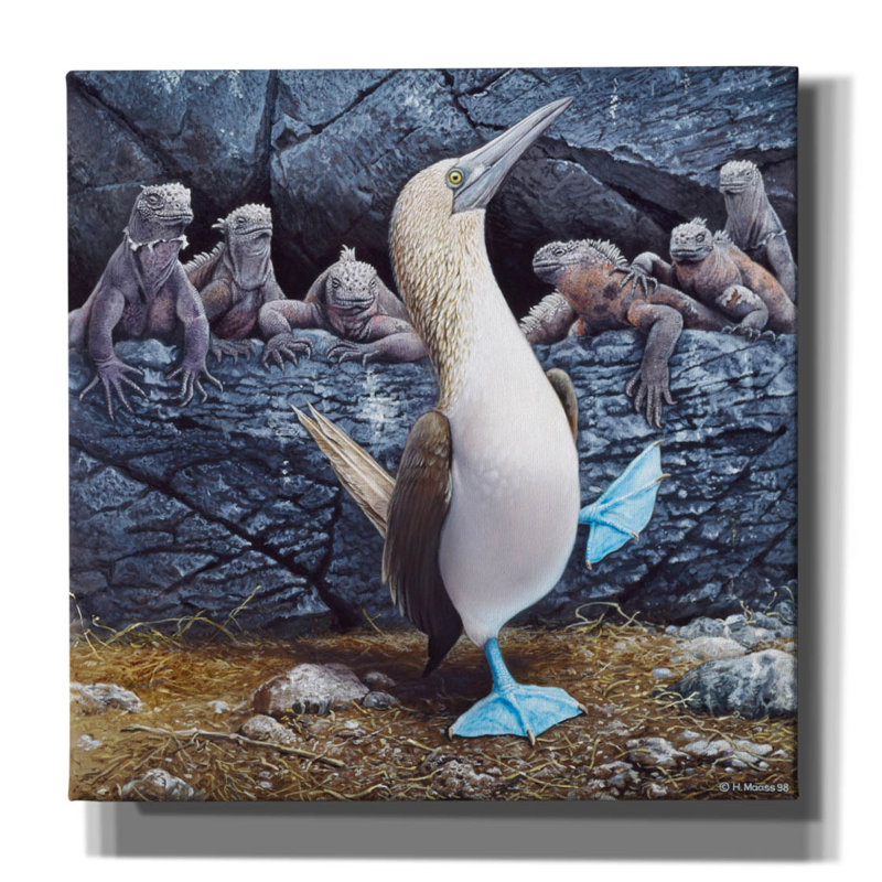 «Epic Graffiti» «Blue Footed Boobies» par Harro Maass, impression sur toile par Harro Maass, L 26 po x H 26 po x P 1,5 po
