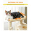 Arbre à chat compact et fonctionnel avec grattoir, peluche et aire de repos pour le divertissement félin à l'intérieur-117068901-117068903