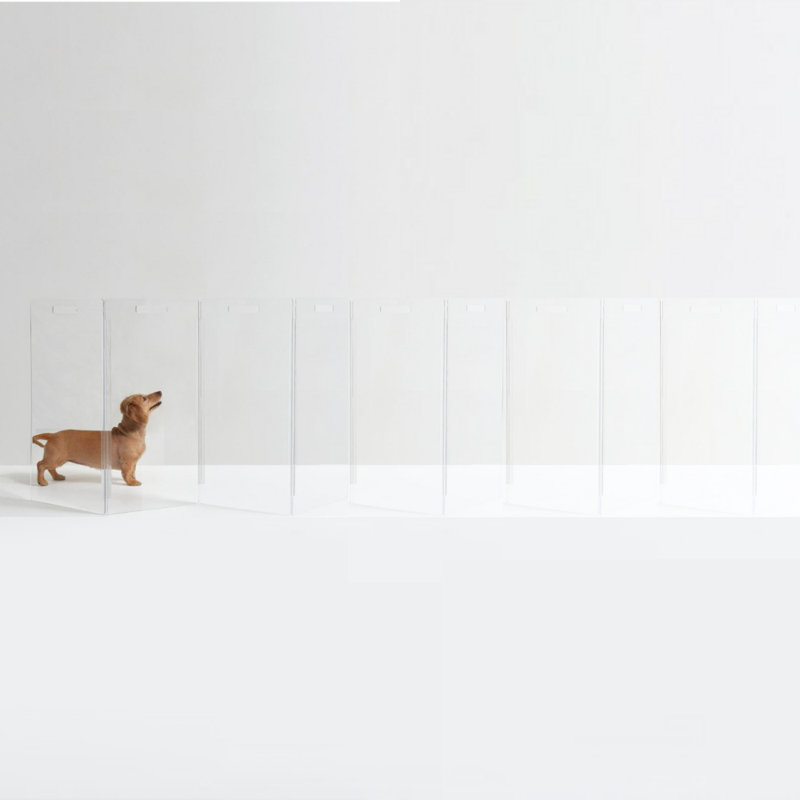 Clear Zig Zag Pet Gate, 10-Panel, 30" H x 150" W x 0.25" D