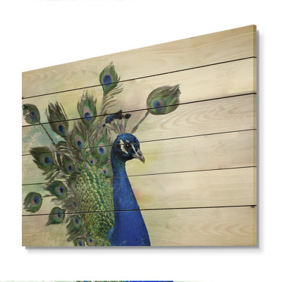Portrait Of Peacock - Traditional Wood Wall Art Panels - Natural Pine Wood