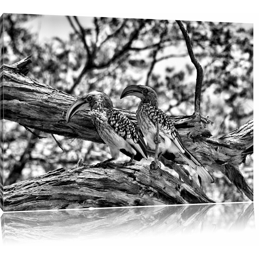 Leinwandbild Zwei exotische Vögel auf einem Baum in Monochrom