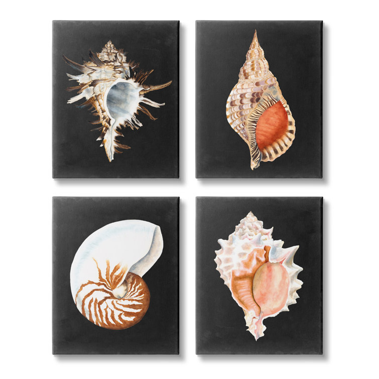 Shell Shocked Art Print for Sale by Palamon