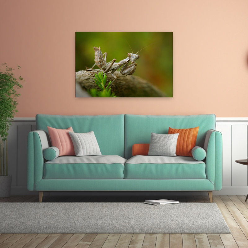 Curious Praying Mantis Abstract Contemporary Animal Forest Wall Art Print by Jimmy Hoffman - Print, 40.64cm H x 60.96cm W
