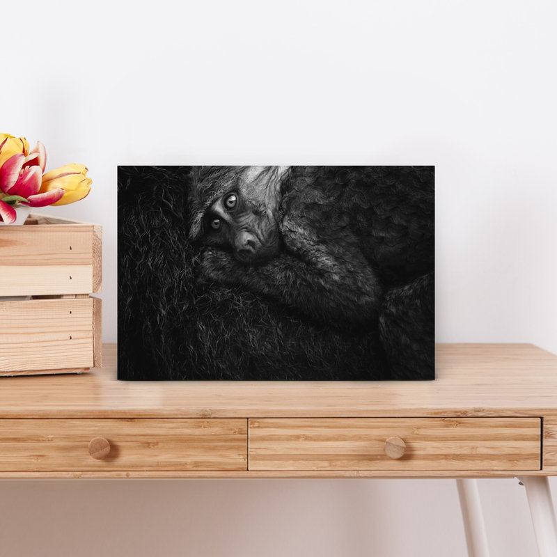 Soulful Baby Monkey Gaze Contemporary Monkey Wall Art Print 1 Piece Wrapped Canvas Wall Art, 30.48cm H x 45.72cm W