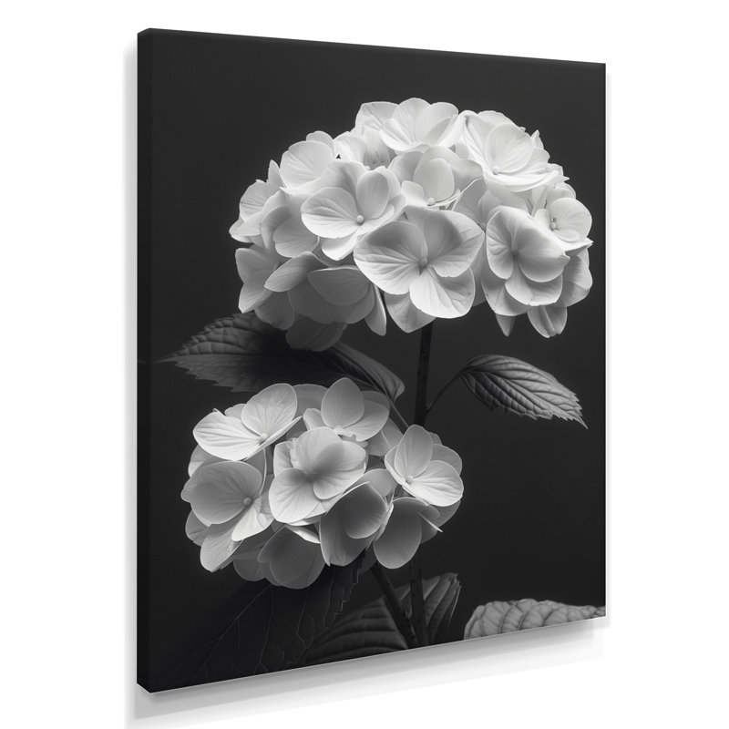 Décoration botanique monochrome hortensia I - hydrangées murales, Toile tendue, H 30 po x l 40 po