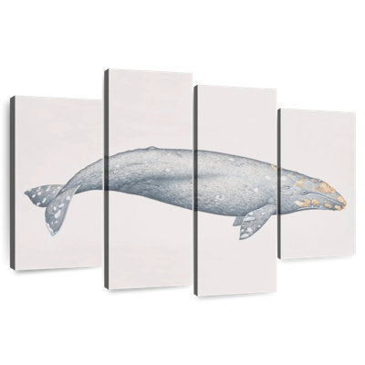 Gray Whale