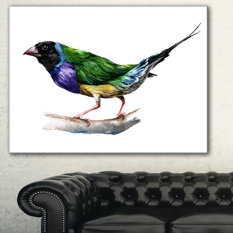 Gould Finch - impression sur toile tendue, H 20 po x l 20 po x P 1 po