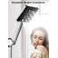 Pendley Handheld Shower Head